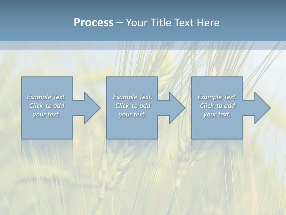 Wheat Green PowerPoint Template