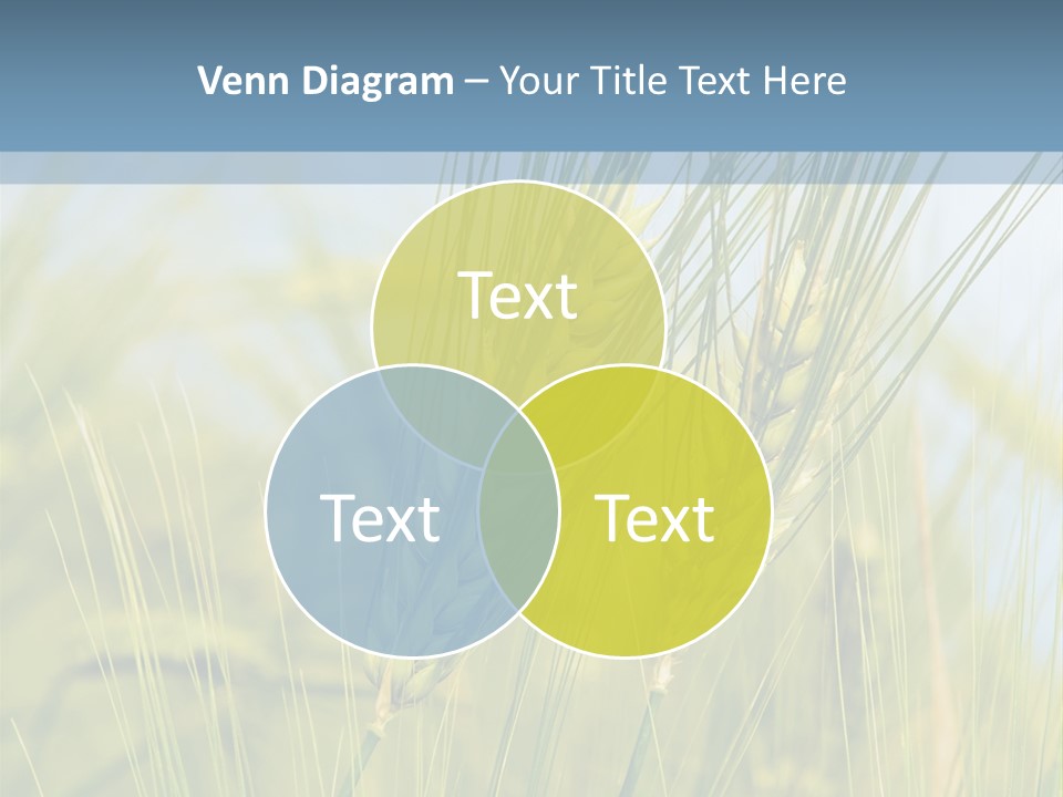 Wheat Green PowerPoint Template