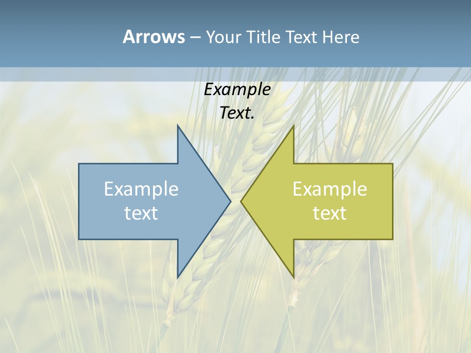 Wheat Green PowerPoint Template