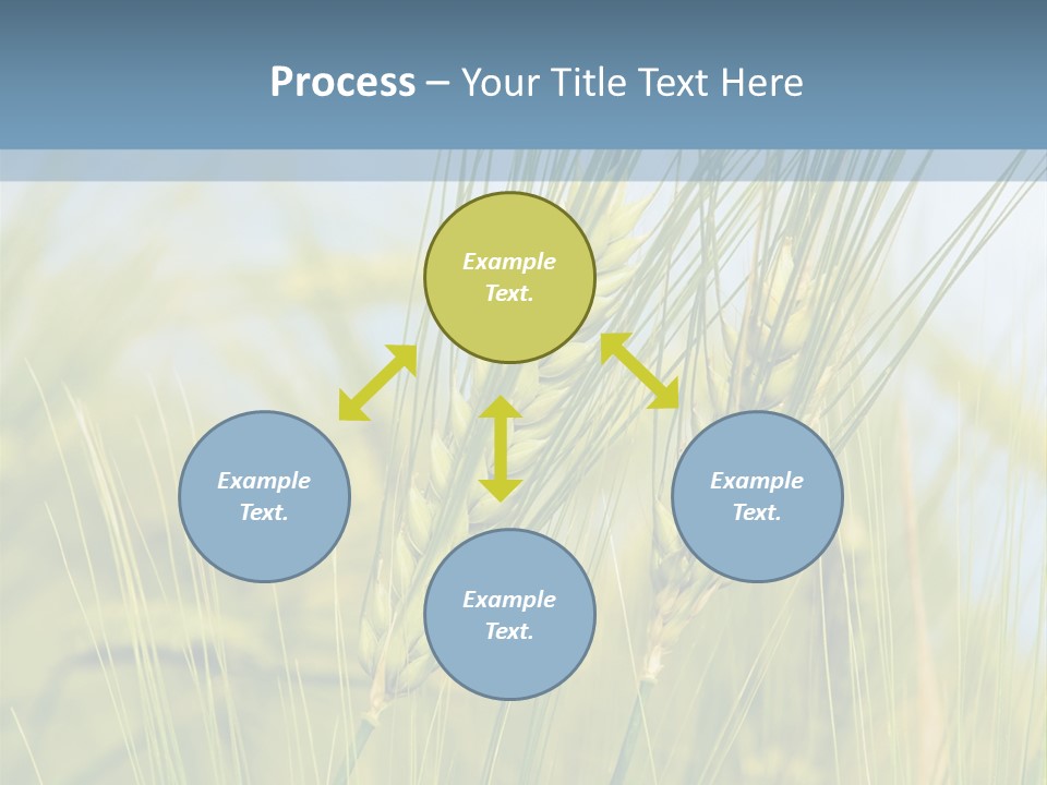 Wheat Green PowerPoint Template