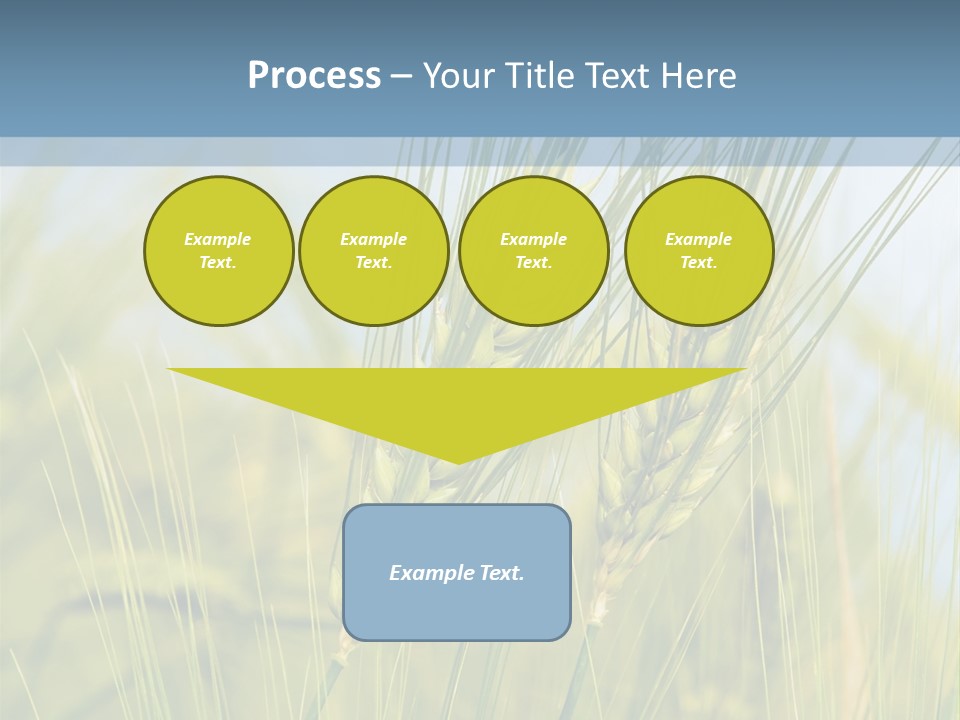 Wheat Green PowerPoint Template