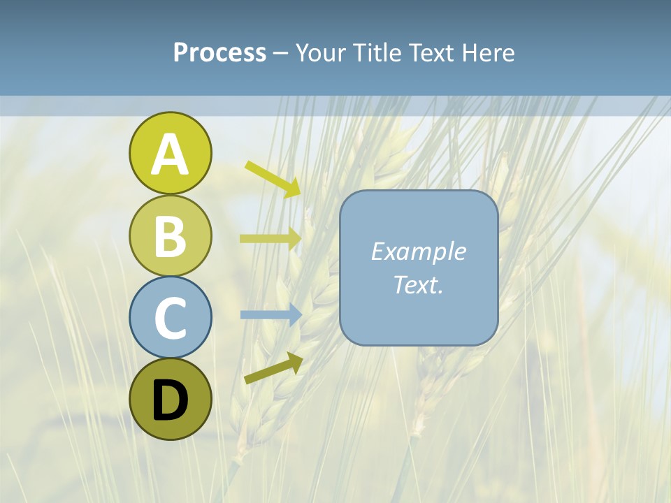 Wheat Green PowerPoint Template