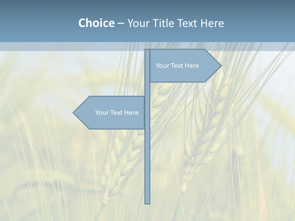 Wheat Green PowerPoint Template