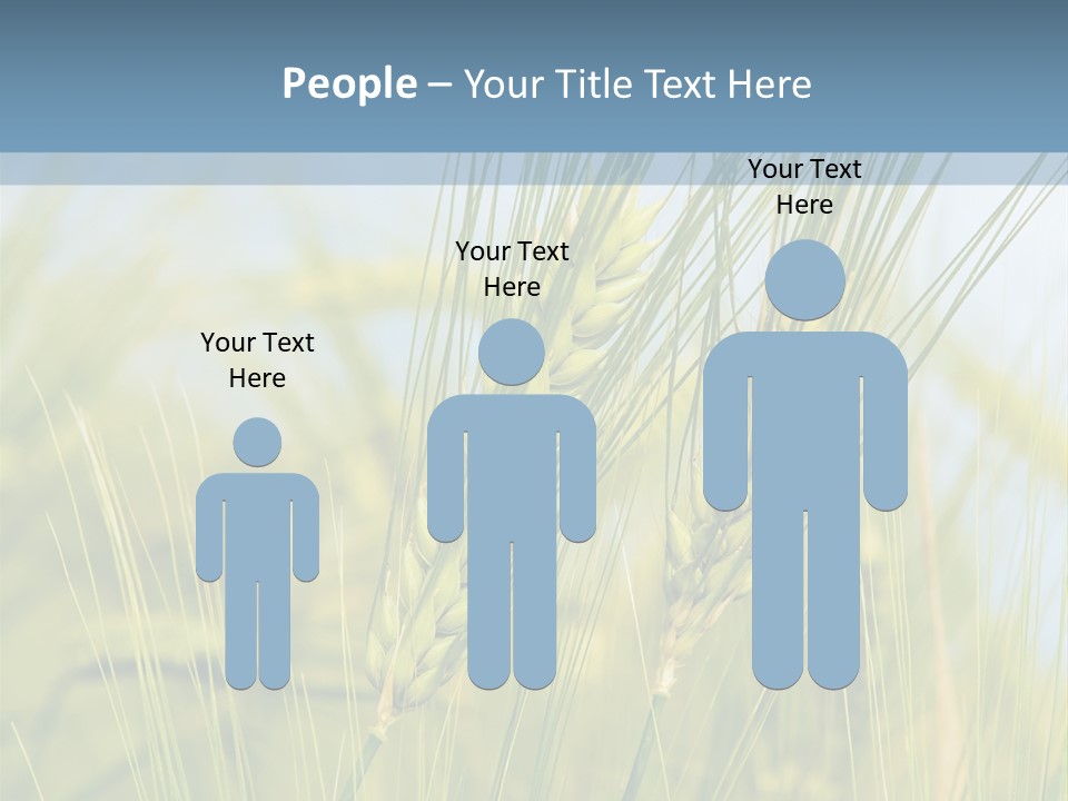 Wheat Green PowerPoint Template