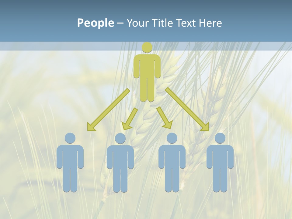 Wheat Green PowerPoint Template