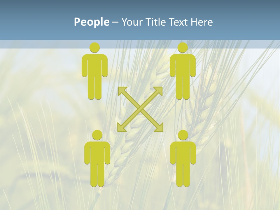 Wheat Green PowerPoint Template