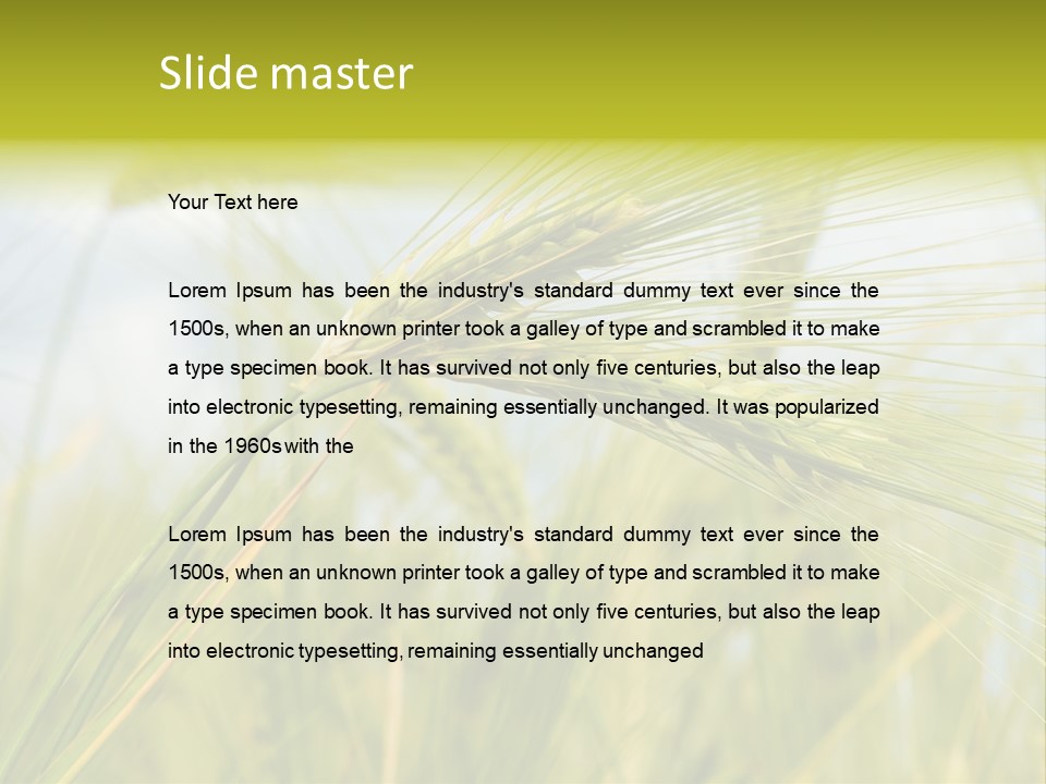 Wheat PowerPoint Template