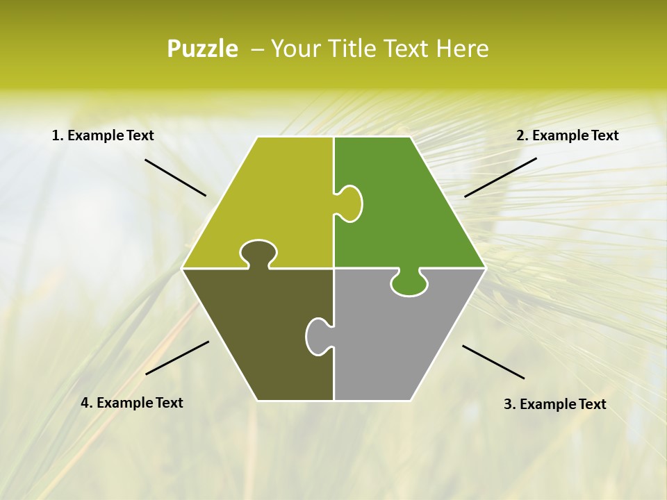 Wheat PowerPoint Template