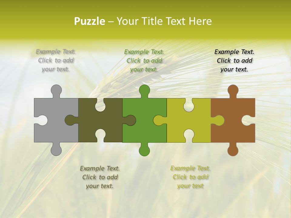 Wheat PowerPoint Template