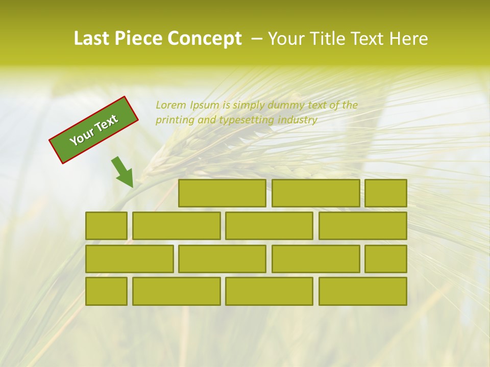 Wheat PowerPoint Template