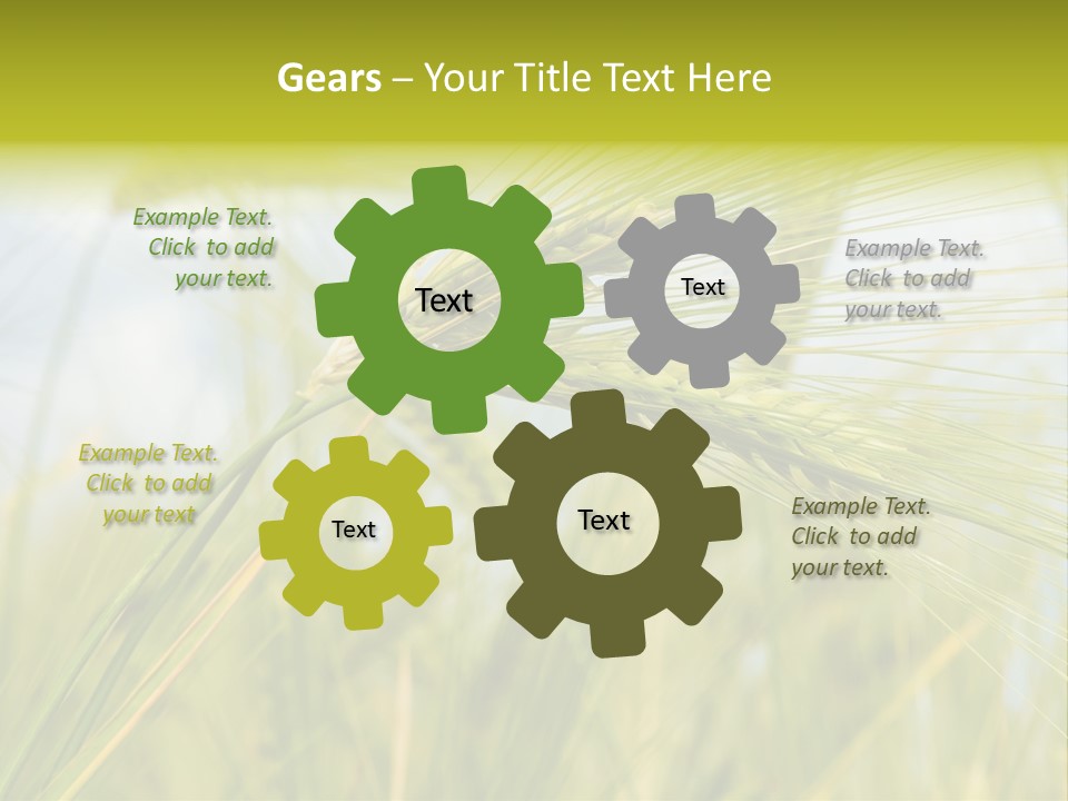 Wheat PowerPoint Template