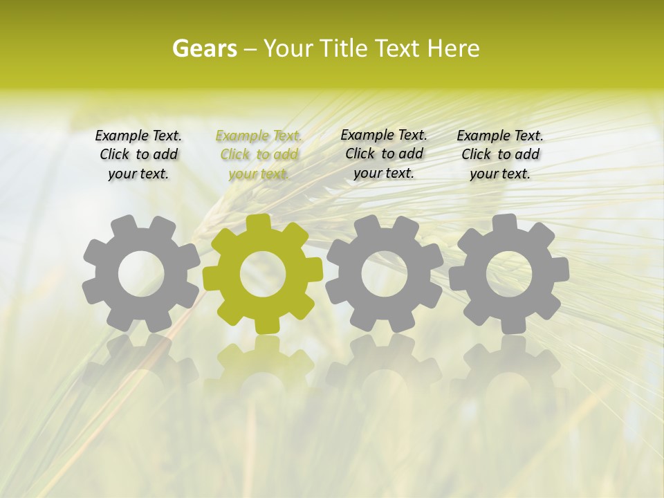 Wheat PowerPoint Template