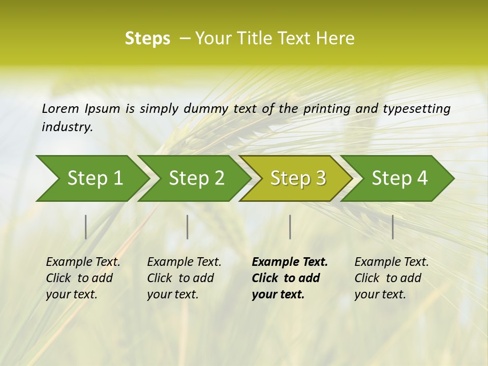 Wheat PowerPoint Template