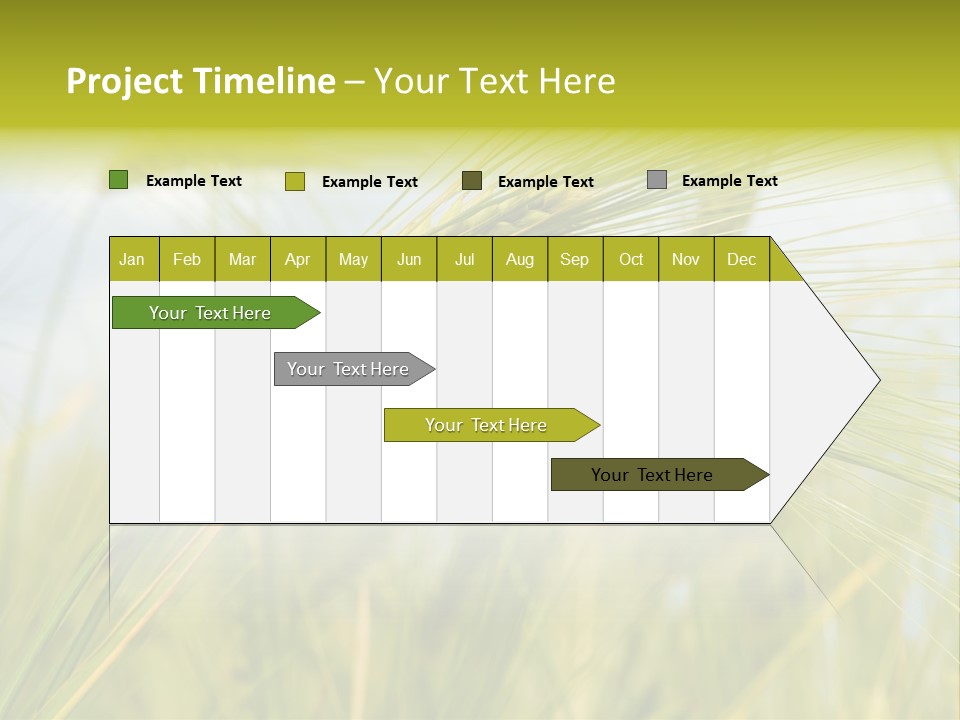 Wheat PowerPoint Template