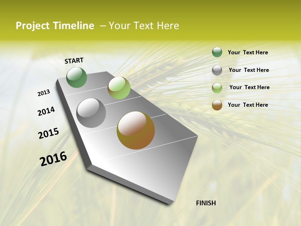 Wheat PowerPoint Template