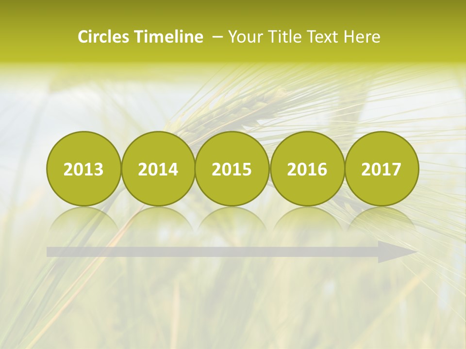 Wheat PowerPoint Template