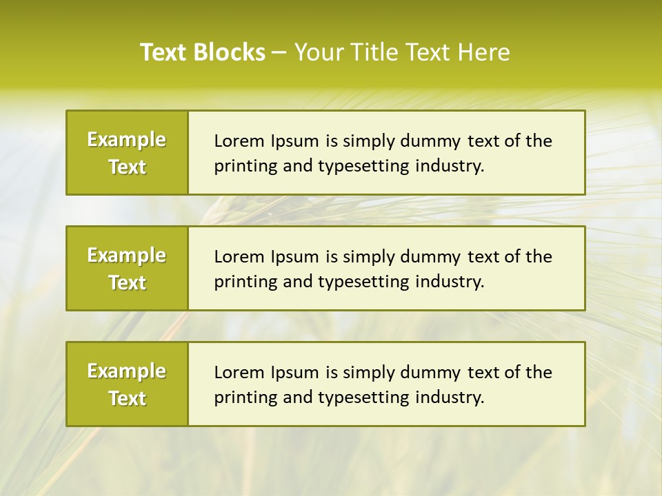 Wheat PowerPoint Template