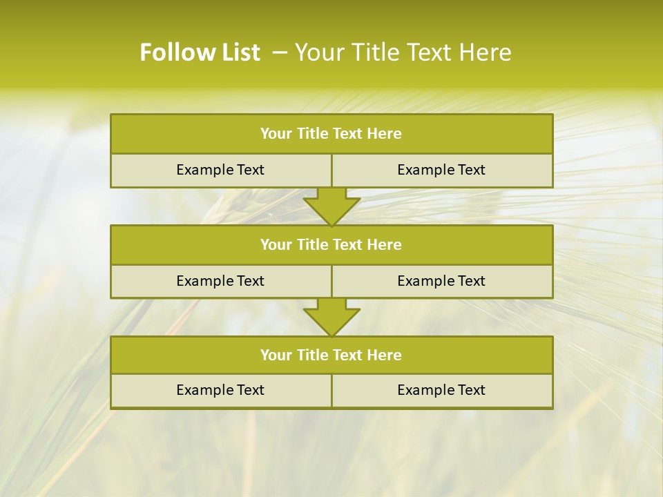 Wheat PowerPoint Template