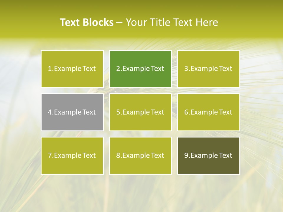 Wheat PowerPoint Template