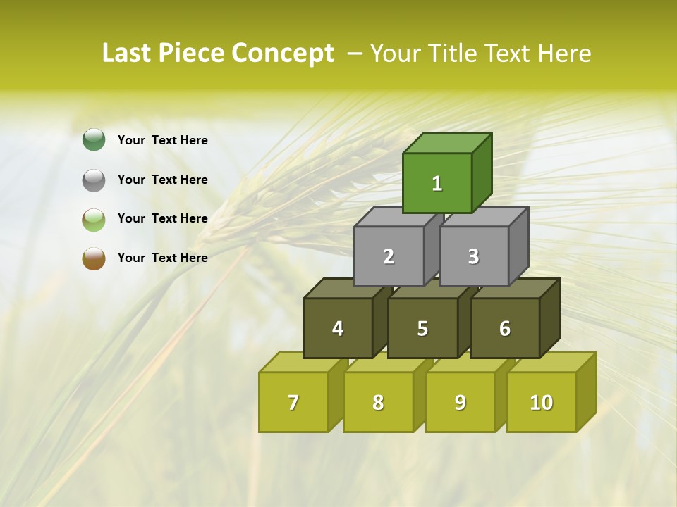 Wheat PowerPoint Template