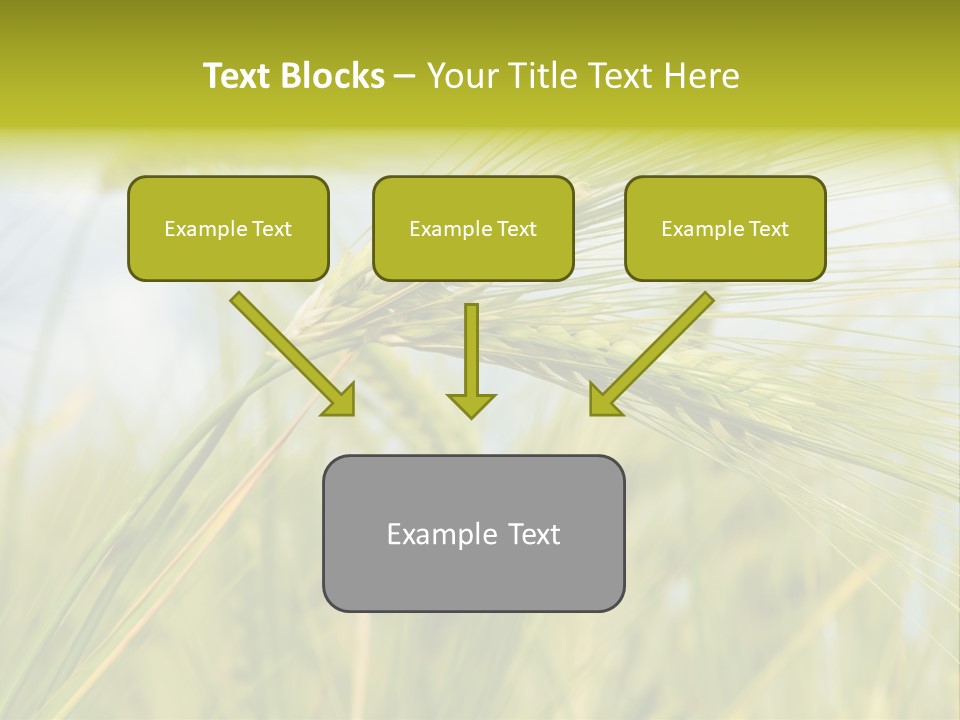 Wheat PowerPoint Template