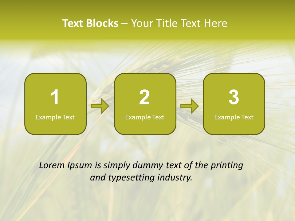 Wheat PowerPoint Template