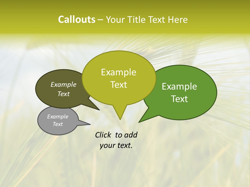 Wheat PowerPoint Template