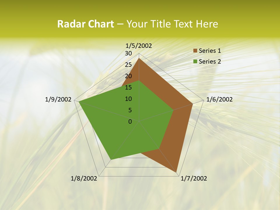 Wheat PowerPoint Template