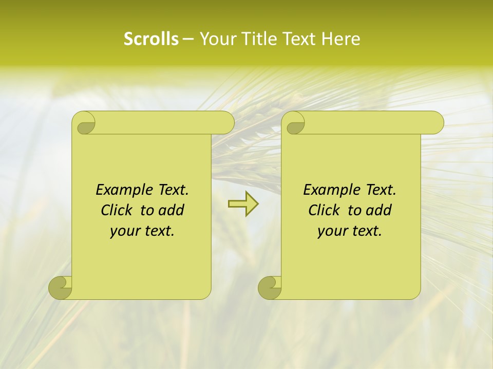 Wheat PowerPoint Template