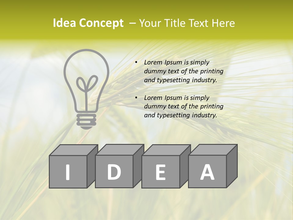 Wheat PowerPoint Template