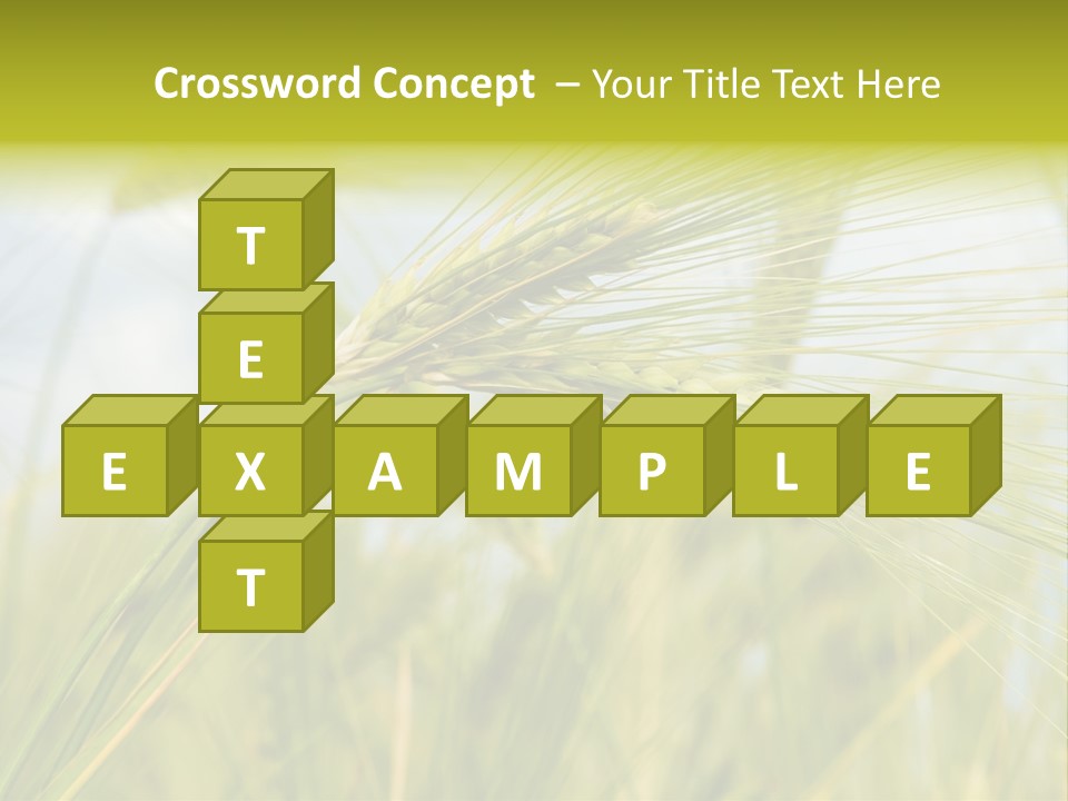 Wheat PowerPoint Template
