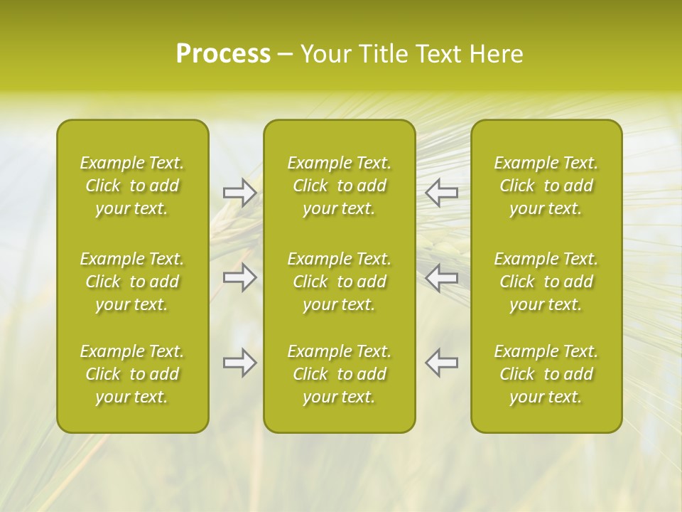 Wheat PowerPoint Template