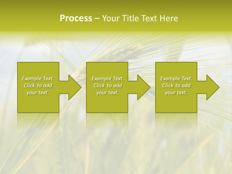 Wheat PowerPoint Template