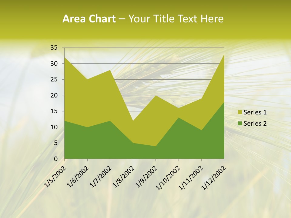 Wheat PowerPoint Template