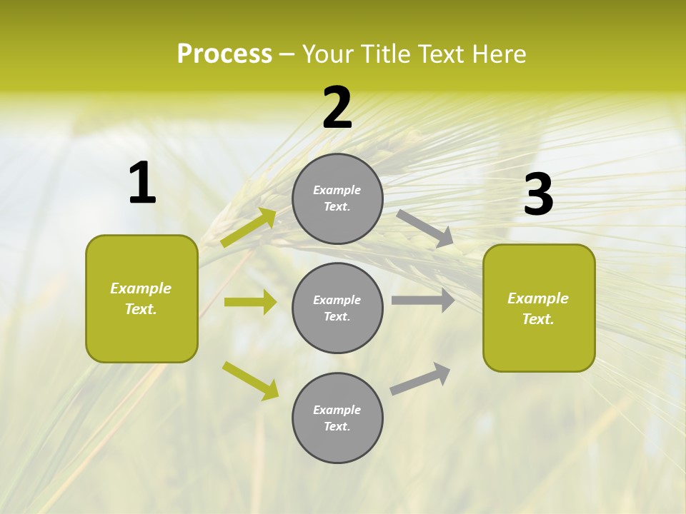 Wheat PowerPoint Template