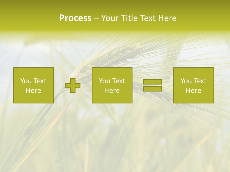 Wheat PowerPoint Template