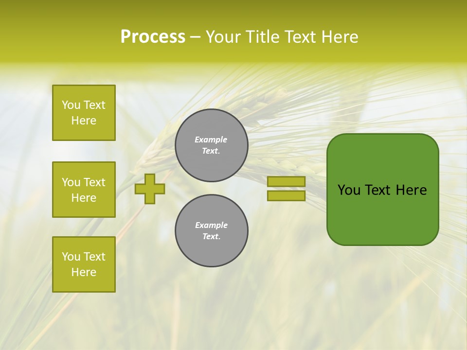 Wheat PowerPoint Template