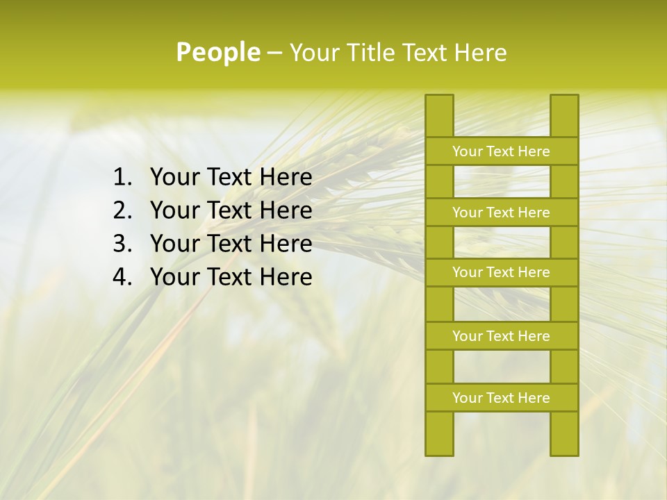 Wheat PowerPoint Template