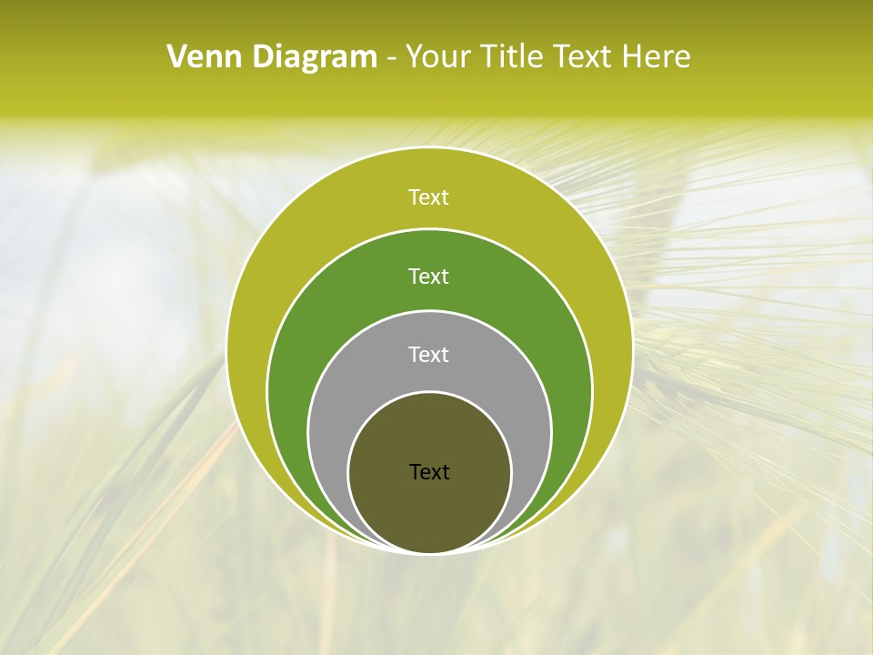 Wheat PowerPoint Template