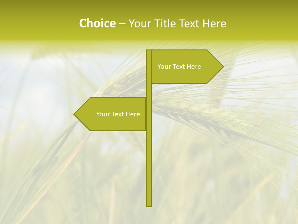 Wheat PowerPoint Template