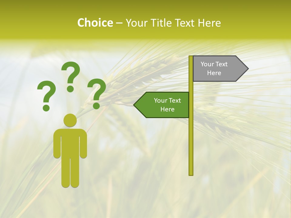 Wheat PowerPoint Template