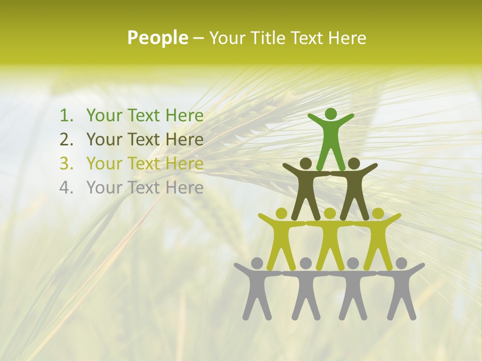 Wheat PowerPoint Template