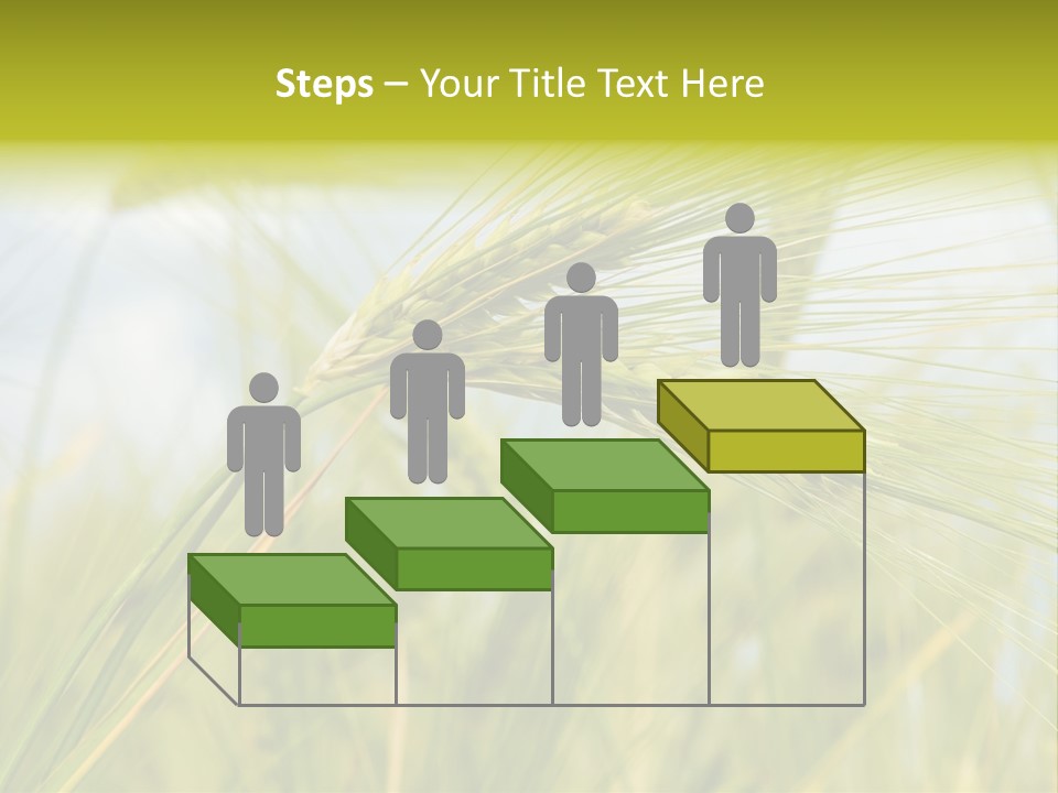 Wheat PowerPoint Template