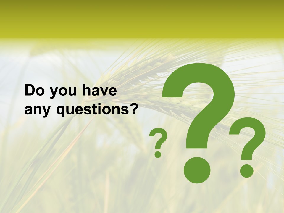 Wheat PowerPoint Template