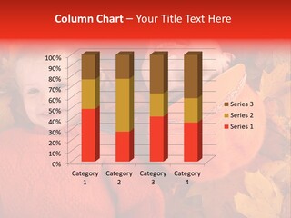 Fall Photography Sessions PowerPoint Template