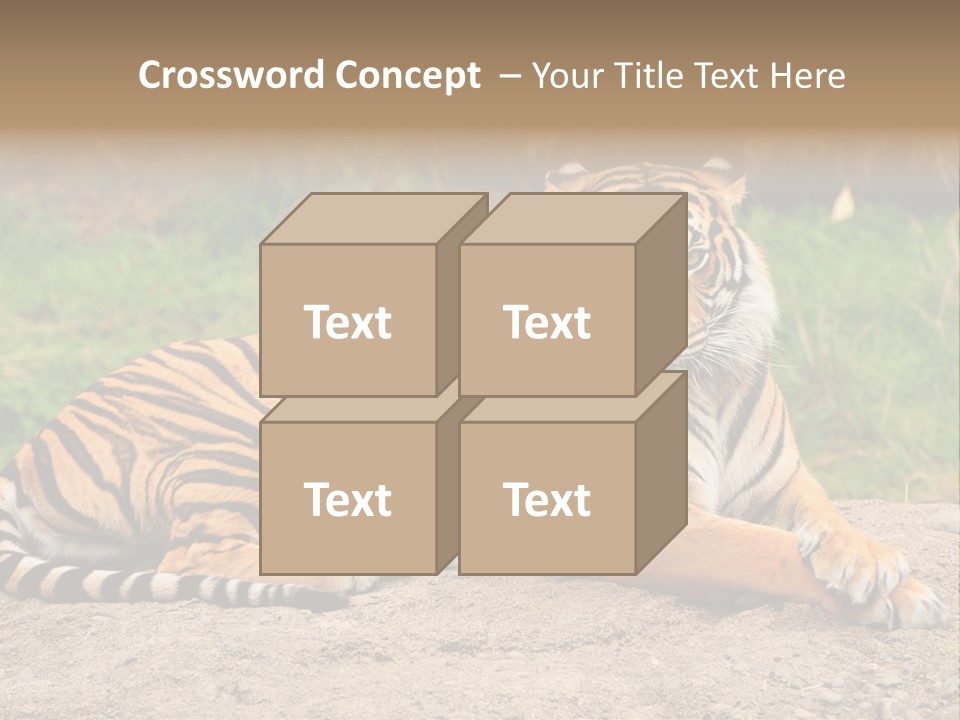 Tiger Sitting PowerPoint Template