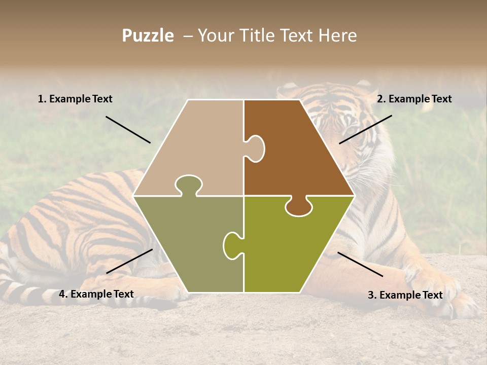 Tiger Sitting PowerPoint Template