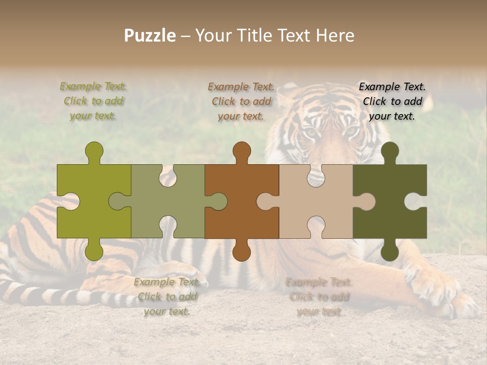 Tiger Sitting PowerPoint Template