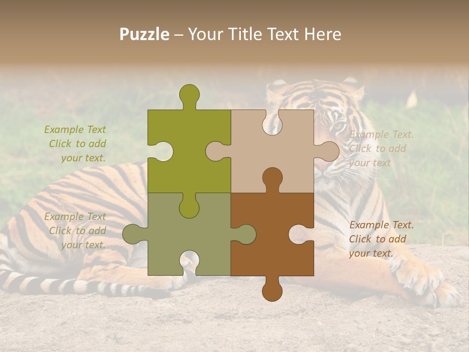 Tiger Sitting PowerPoint Template