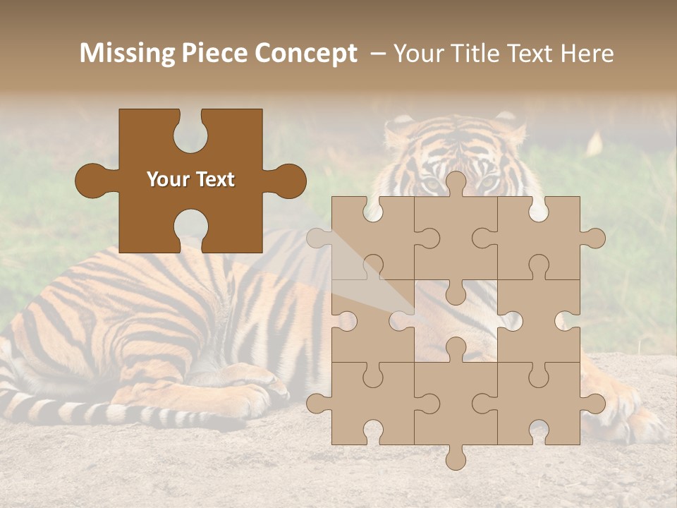 Tiger Sitting PowerPoint Template
